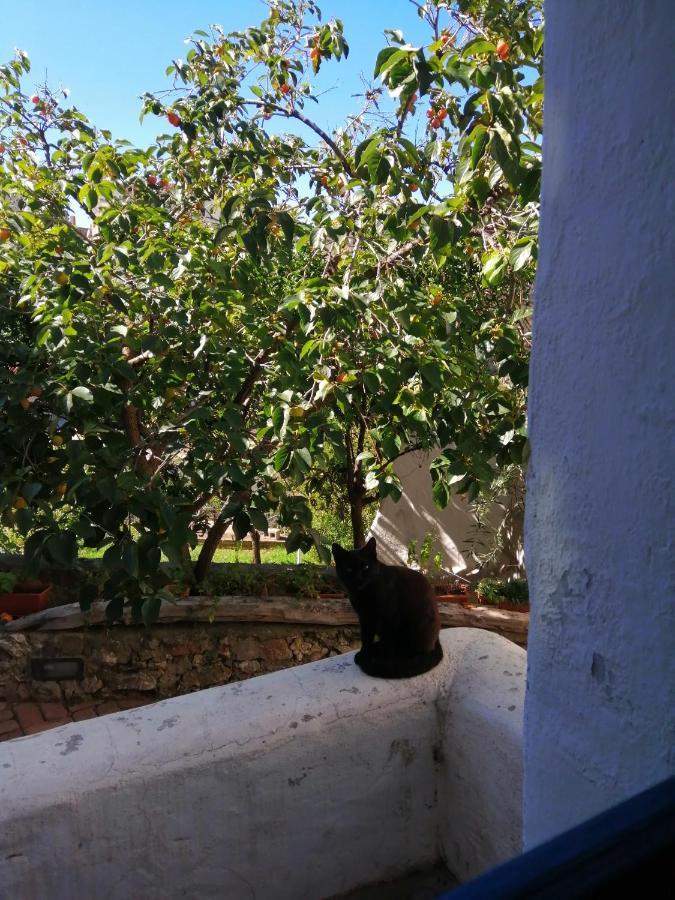 B&B Corte San Lussorio Oliena Exteriör bild