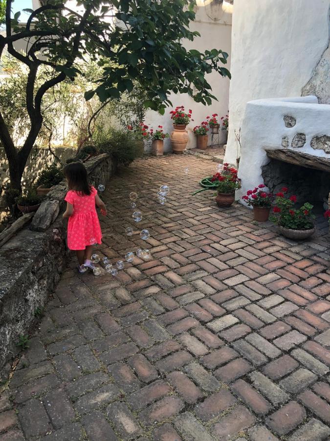 B&B Corte San Lussorio Oliena Exteriör bild