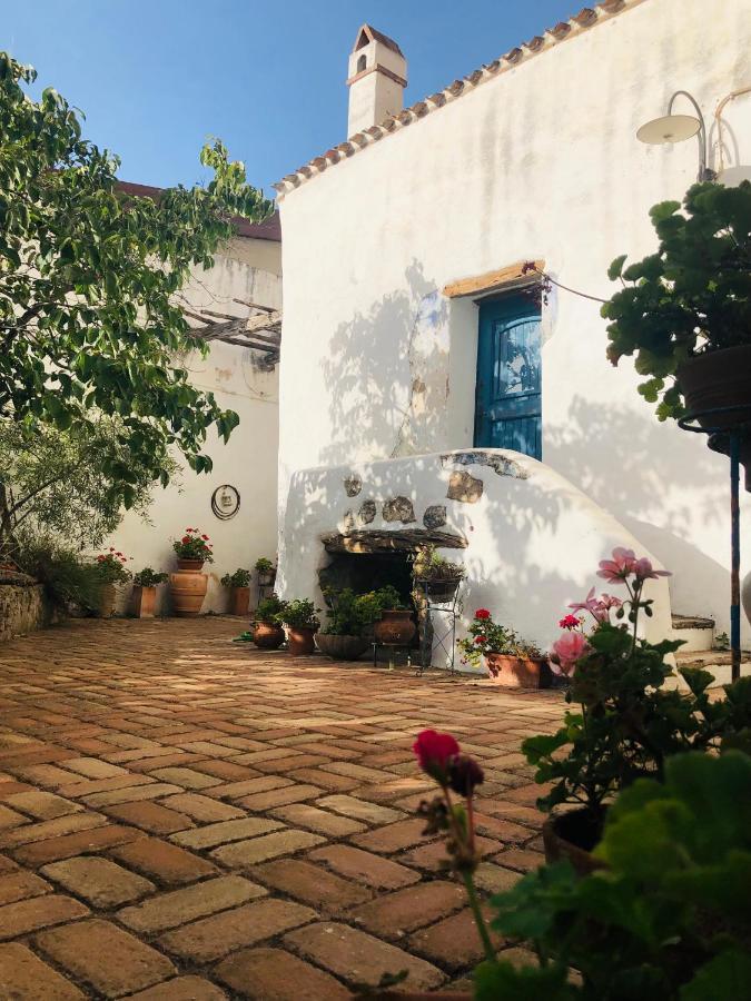 B&B Corte San Lussorio Oliena Exteriör bild