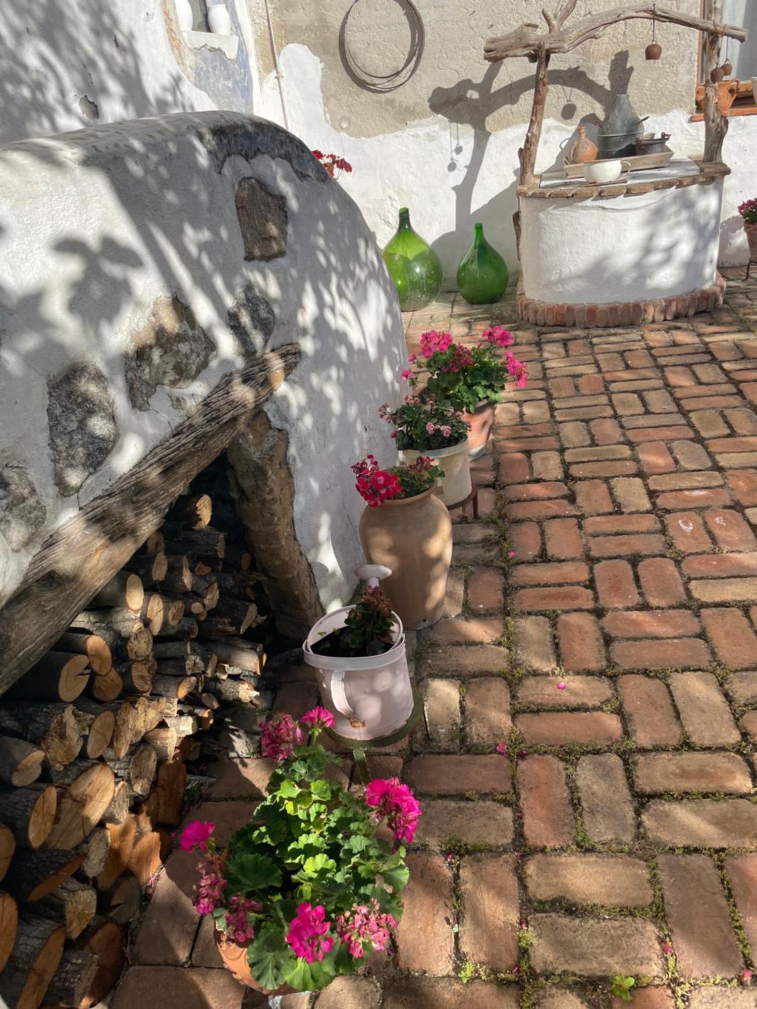 B&B Corte San Lussorio Oliena Exteriör bild