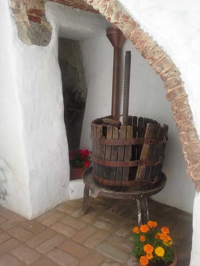 B&B Corte San Lussorio Oliena Exteriör bild