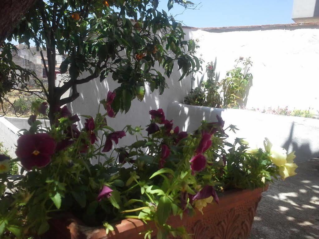 B&B Corte San Lussorio Oliena Exteriör bild